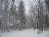 DSC_0003~20.jpg