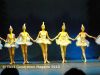 DSC_0163~18.jpg