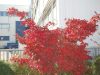 DSC_0188~10.jpg